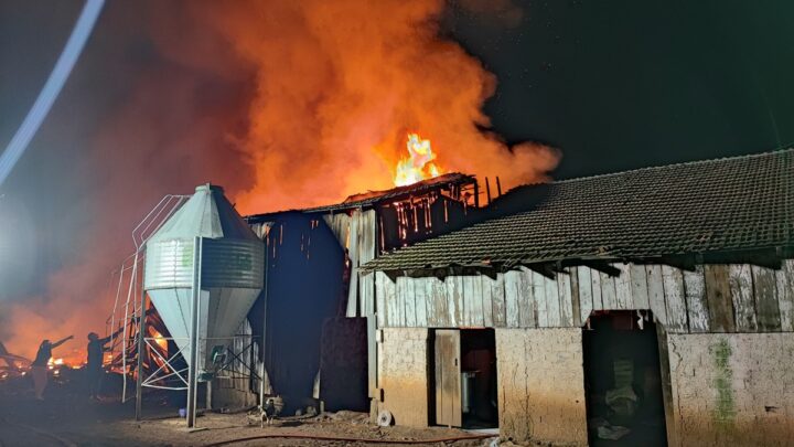 Imagens: galpão é destruído pelo fogo no interior de Dionísio Cerqueira