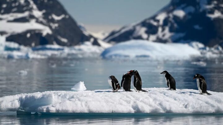 Antártida registra -82ºC; menor temperatura do ano