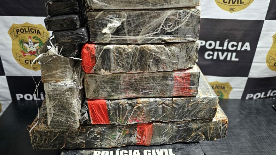 Polícia Civil apreende 60 KG de maconha em rodovia no Oeste de SC