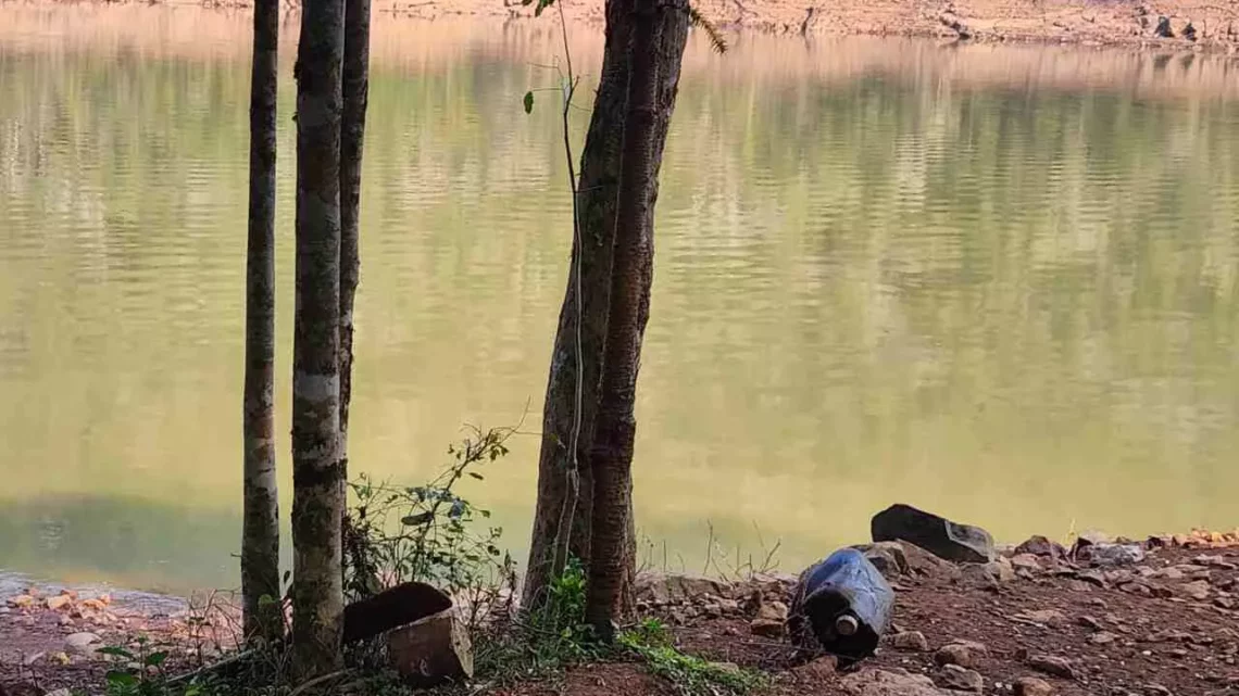 Corpo em estado avançado de decomposição é encontrado em Pinhal da Serra