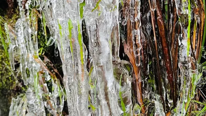 IMAGENS: frio intenso forma paisagem fenomenal com estalactites em Urupema