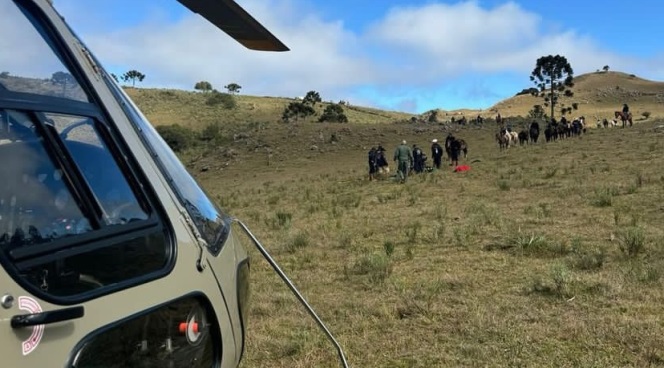 Homem é pisoteado após queda de cavalo em Urupema