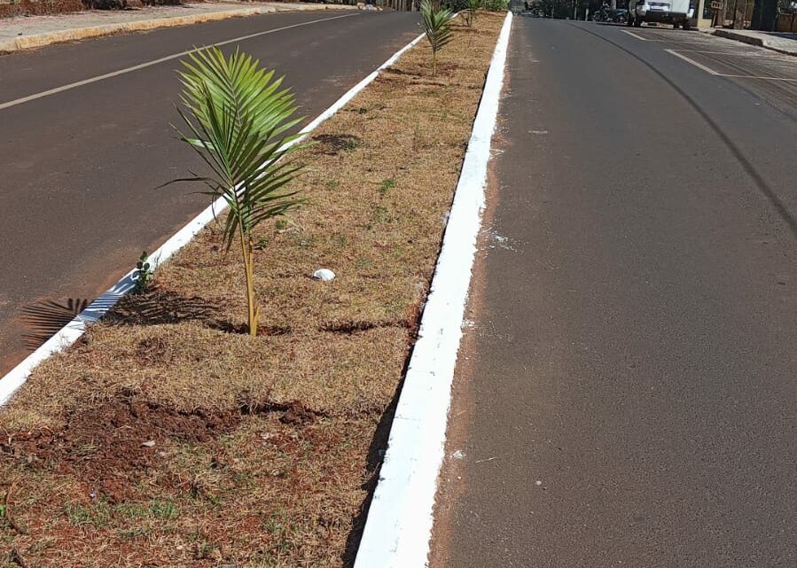 Superintendência plantou 47 palmeiras em loteamento do bairro Efapi