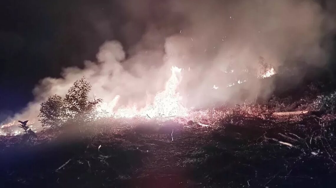 Incêndio em vegetação mobiliza bombeiros por mais de cinco horas em Xaxim