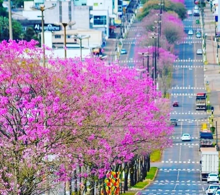 Primeira semana da primavera começa com sol e calor em SC