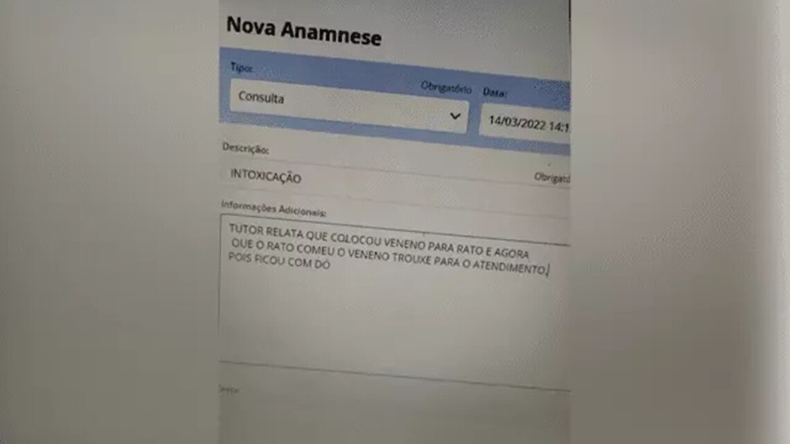 “Ficou com dó”: clínica veterinária viraliza após descrição em consulta