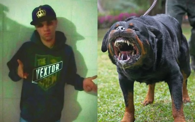 Homem que invadiu pátio de empresa em SC é “devorado” por cães