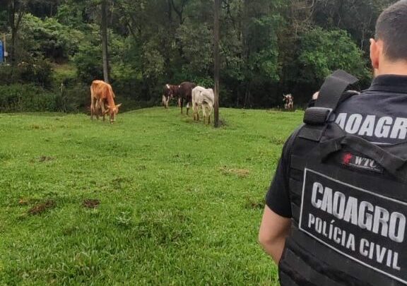 Caoagro da PCSC e Cidasc apuram denúncias de maus-tratos de bovinos em Maravilha