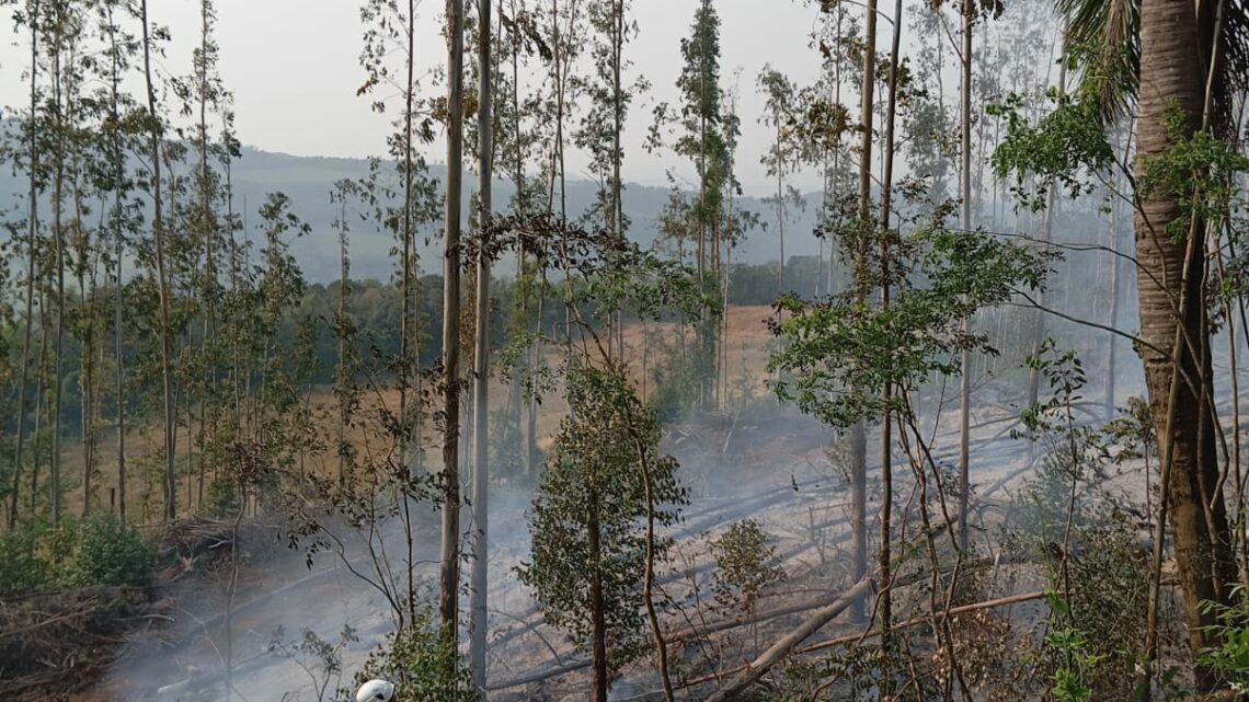 Bombeiros voluntários combatem incêndio florestal em Irani