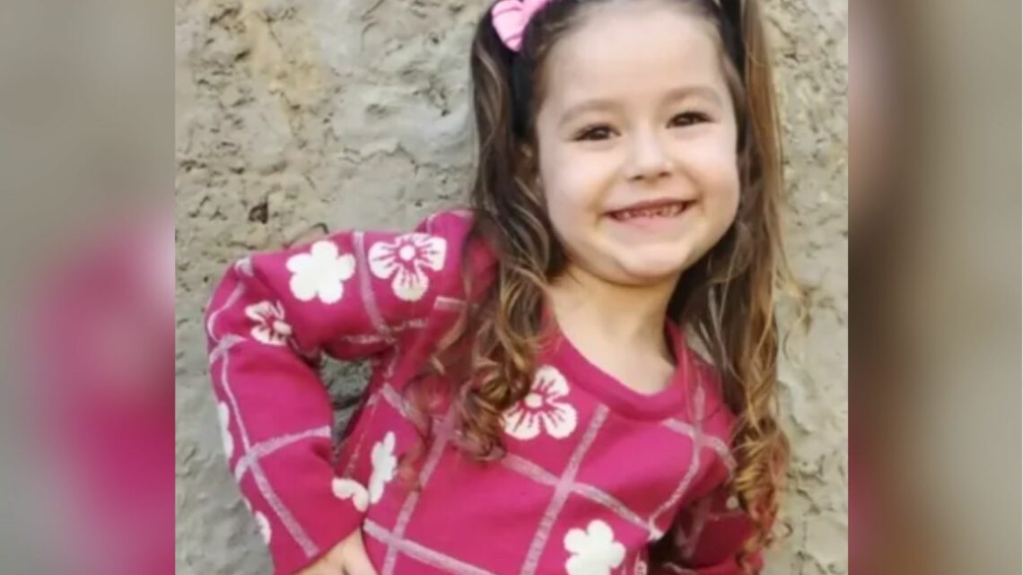 Menina de 5 anos sofre queimaduras em 80% do corpo após acidente doméstico em Ponte Serrada