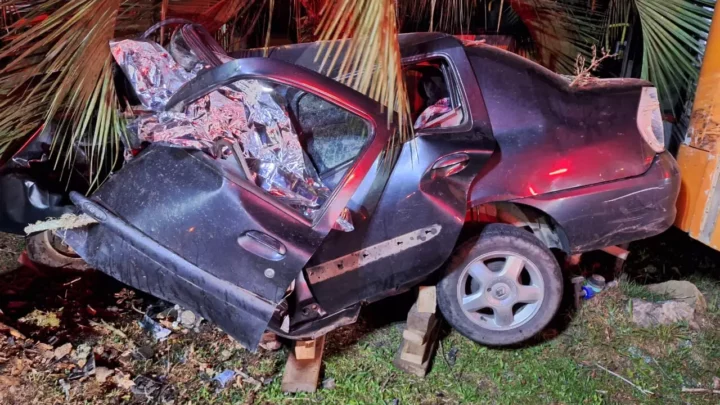 Motorista morre após carro bater em árvore, em Campo Alegre