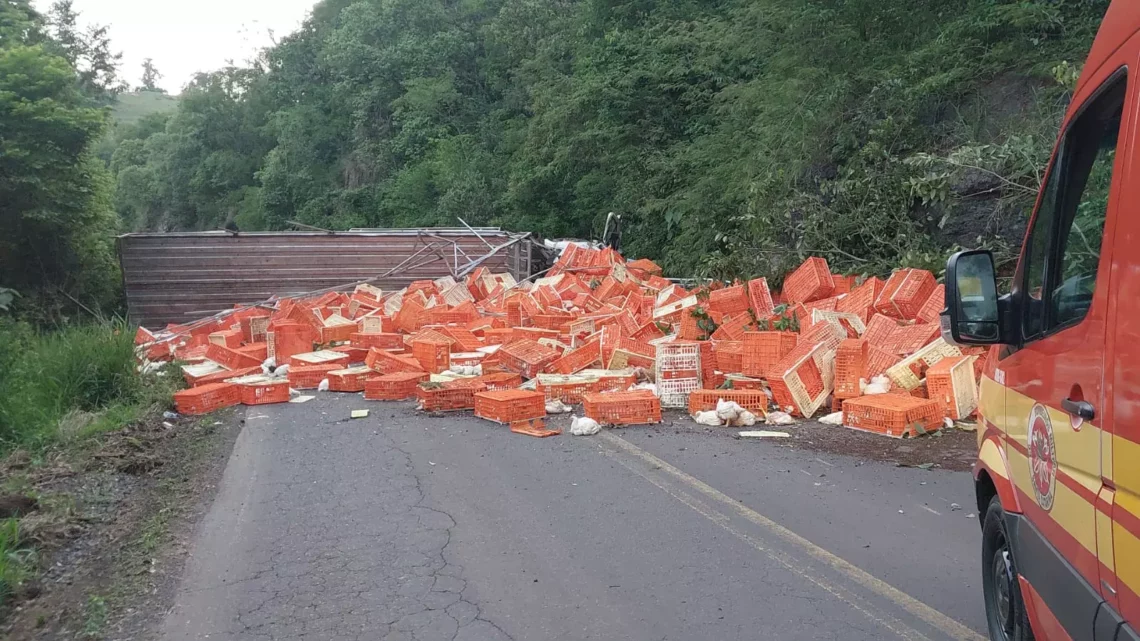 Caminhão carregado de frangos capota e bloqueia SC-155