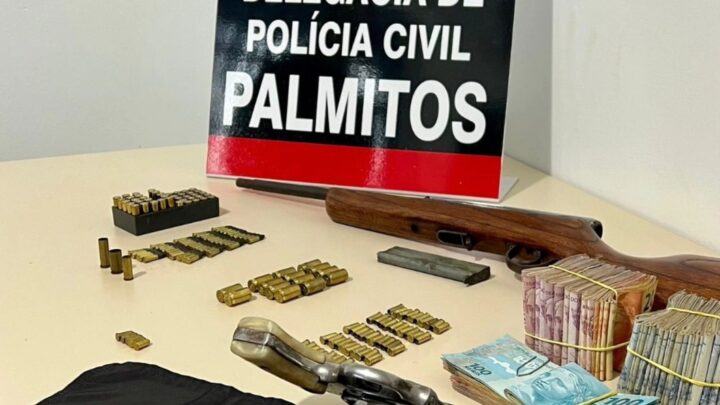 Polícia Civil realiza operação policial, prende homem em flagrante delito e apreende armas de fogo e munições