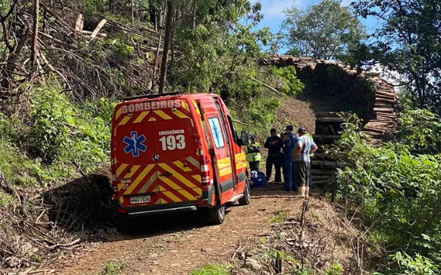 Trabalhador morre por queda de árvores no Oeste de SC