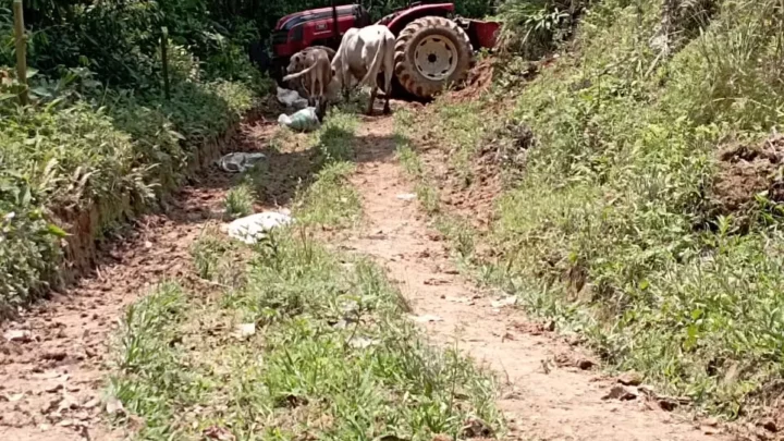 Homem morre após ser atropelado por trator em SC