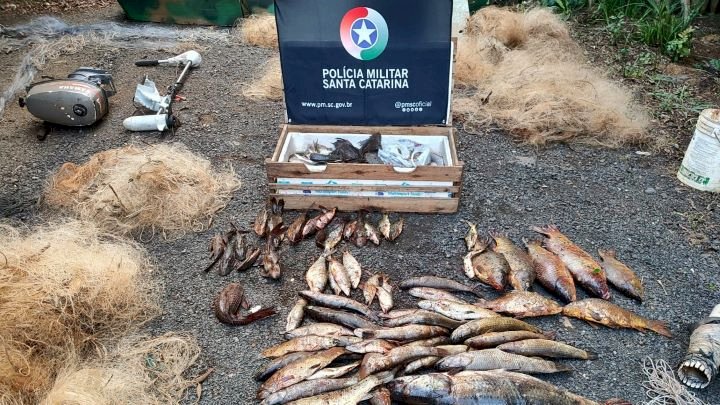 Acampamento de pesca ilegal é flagrado em Vargem durante período de defeso