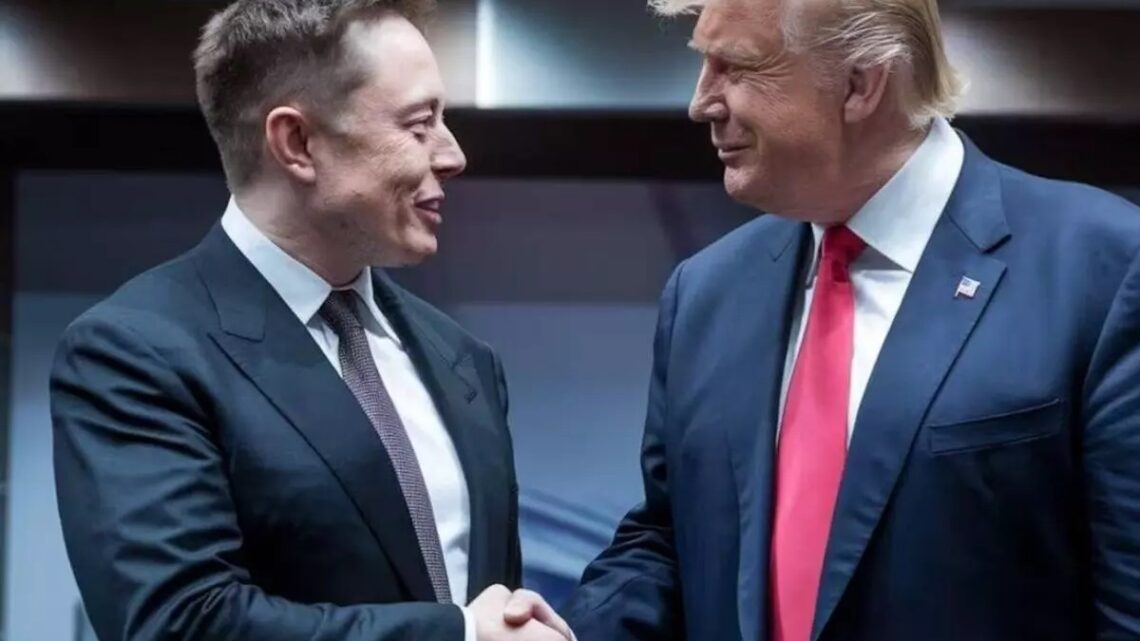 Elon Musk assume cargo no governo de Trump