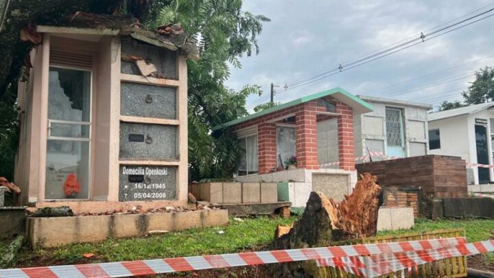 Temporal derruba árvore de 20 metros em cemitério em Chapecó