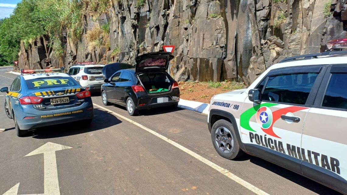 Operação conjunta apreende quase 300 kg de maconha na BR 158 em Caibi