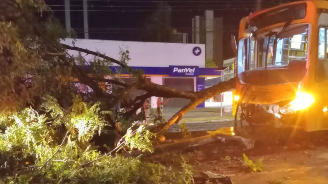 Colisão entre ônibus do transporte público e dois carros deixa quatro feridos em Chapecó