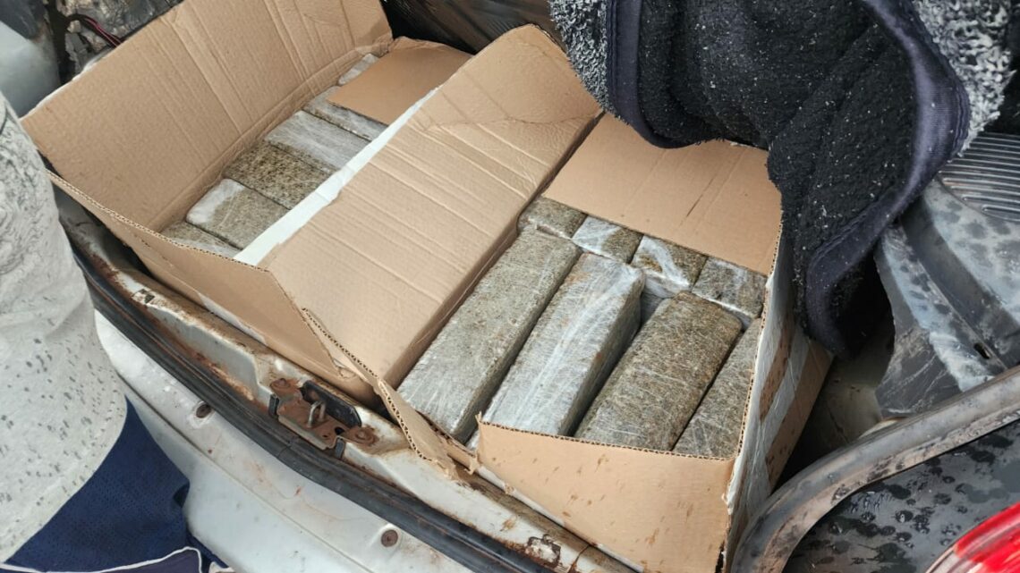 Operação conjunta da polícia apreende mais de 100 kg de maconha na BR 282