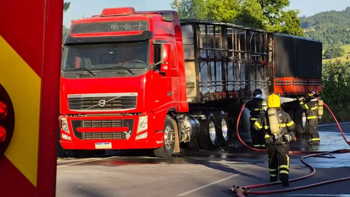 Incêndio em caminhão causa grandes danos na BR-282