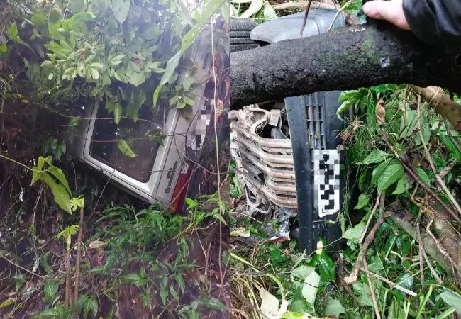 Carro cai em ribanceira em Blumenau e motorista sai ileso