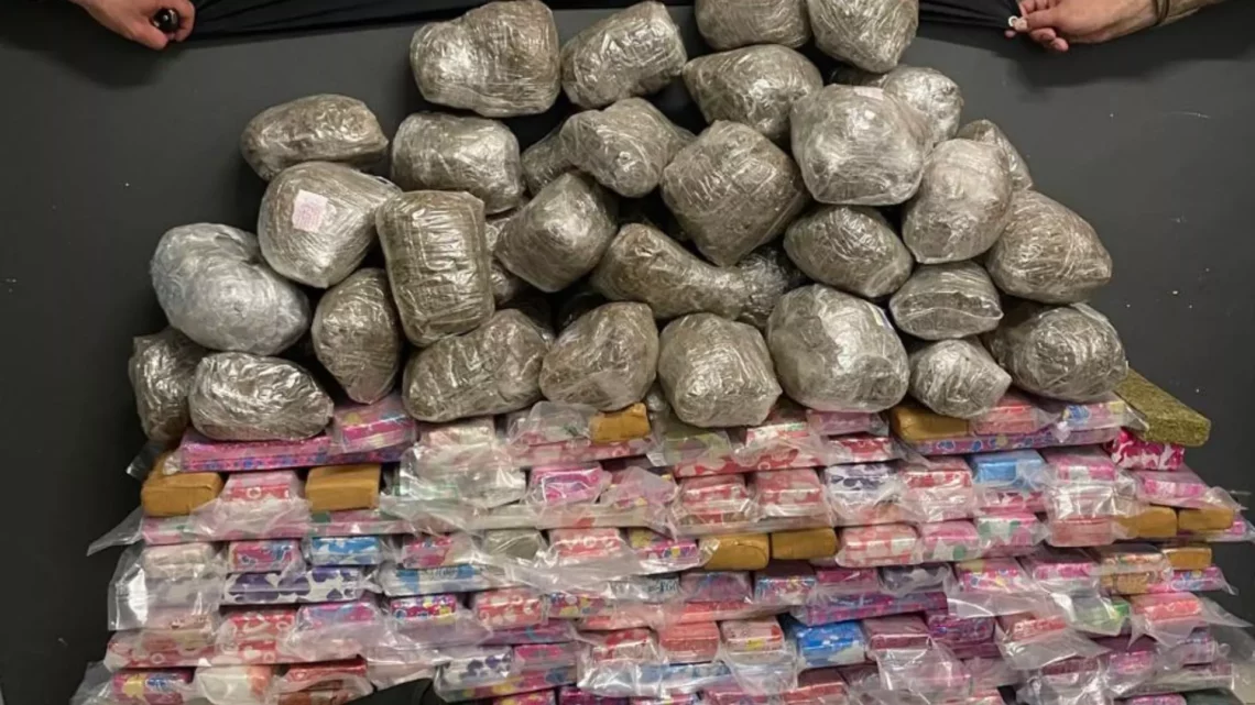 Polícia apreende mais de 180 kg de drogas na Capital