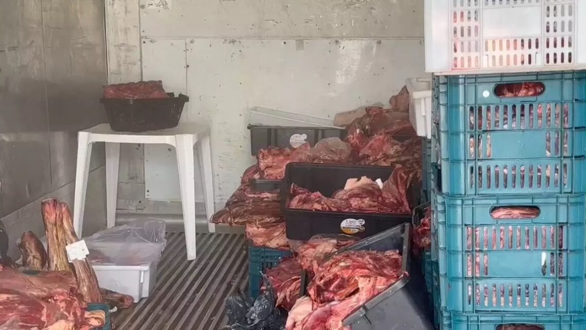 FOTOS: açougue é fechado após vender carne estragada em SC