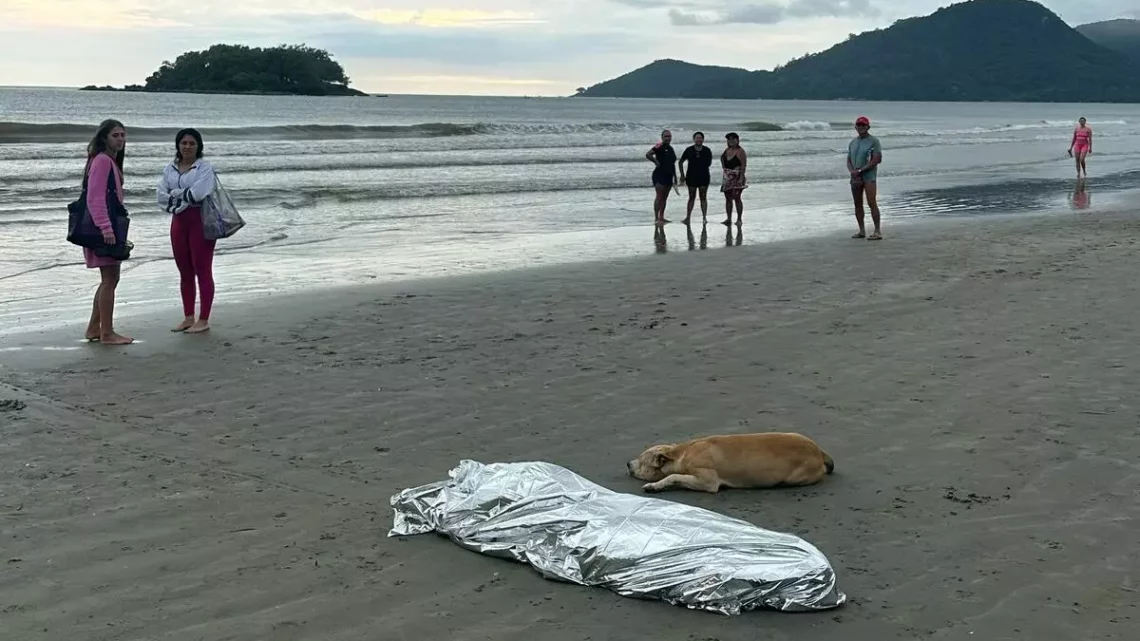 Homem morre afogado em BC e cão se recusa a deixar o corpo